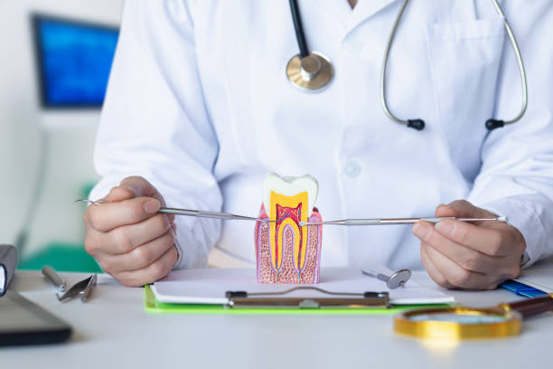 Best Emergency Wisdom Teeth Removal in Lumberton, NC